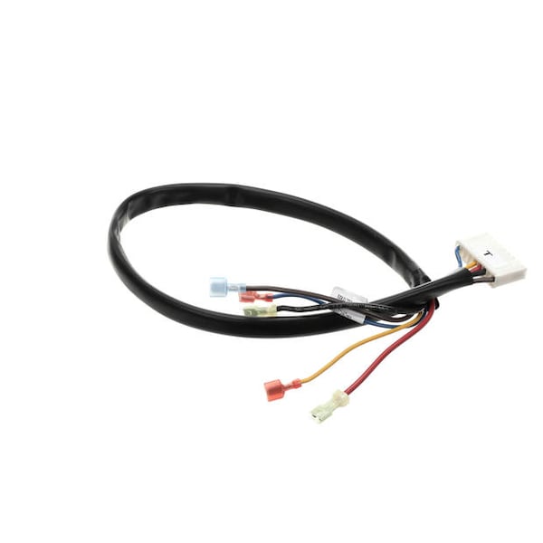 Wire Harness-Evco Warmer Control